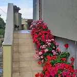 Kelk Apartmán *